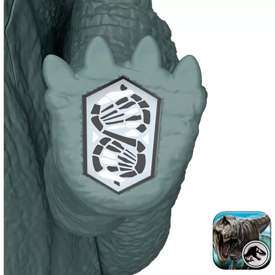 Image 4