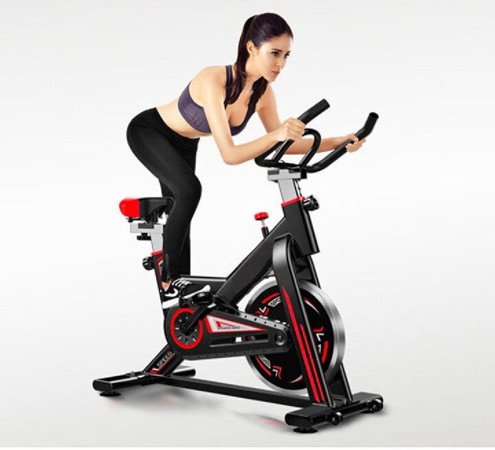 Details about   LR Fitness ProSpin Exercise Bike Flywheel Spin Bike Home Gym 
