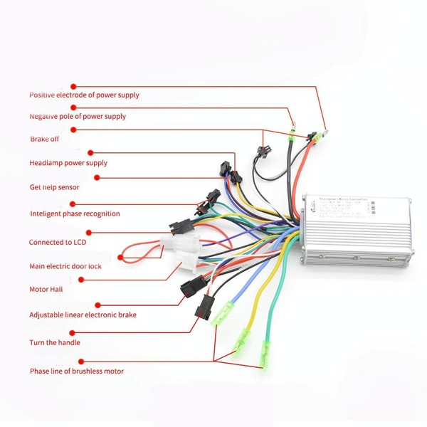 Image 7