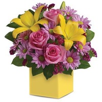 Serenade - Flower Arrangement