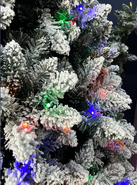 Image 4
