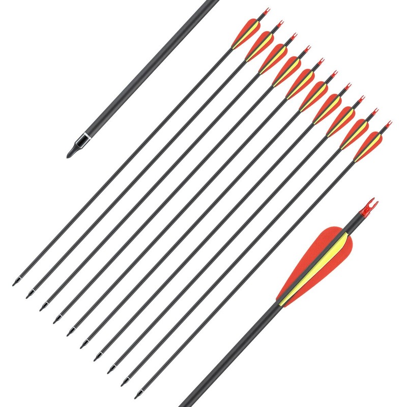 Buy 10x Carbon Arrows 30 Inch Archery Hunting Compound Recurve Long Bow