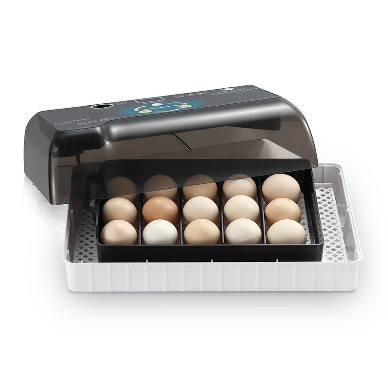 12 Egg Incubator Auto Egg Turning Digital Chicken Goose ...