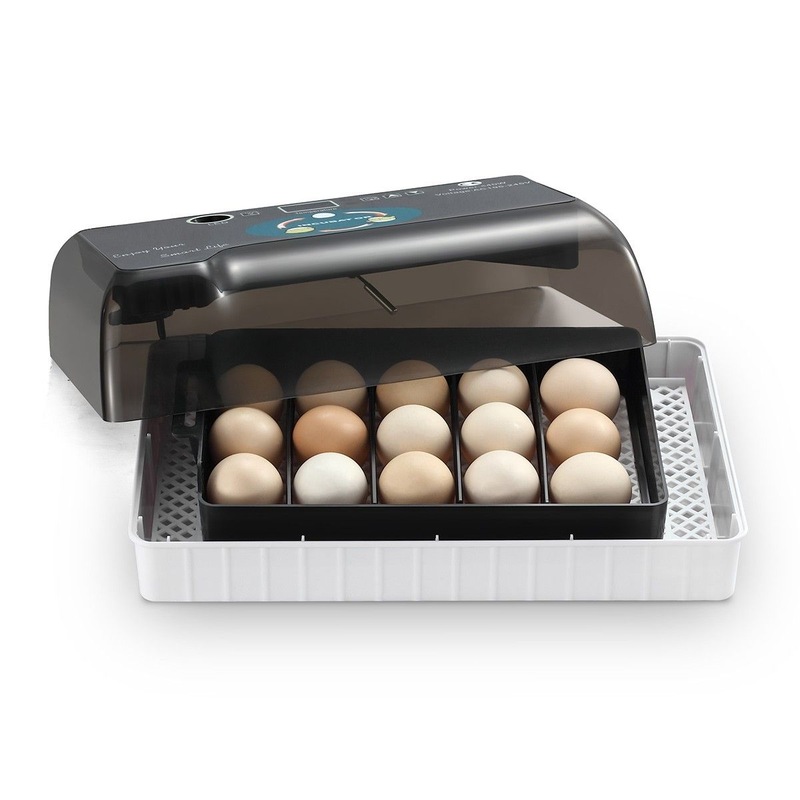 12 Egg Incubator Auto Egg Turning Digital Chicken Goose ...