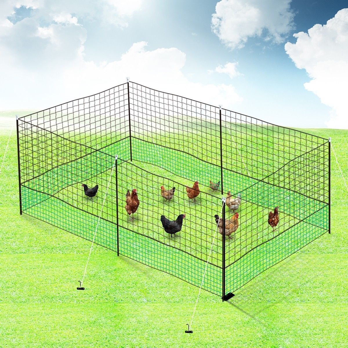 12M X 1.25M Poultry Net Chicken Netting Fence Hens Ducks Gooses With 6