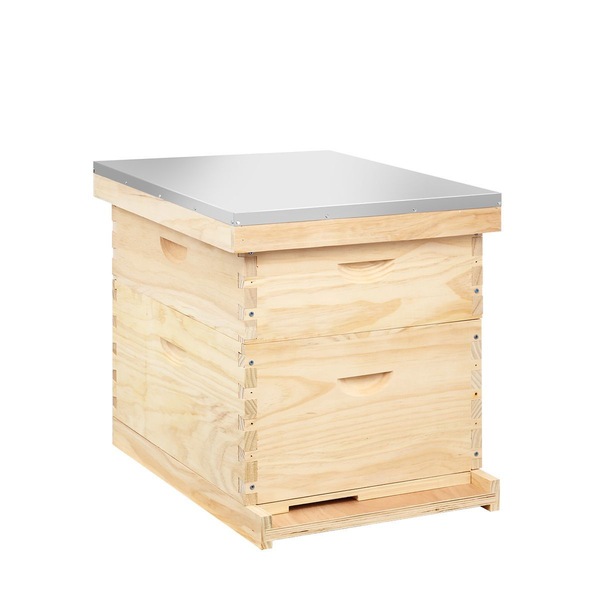 Image 11