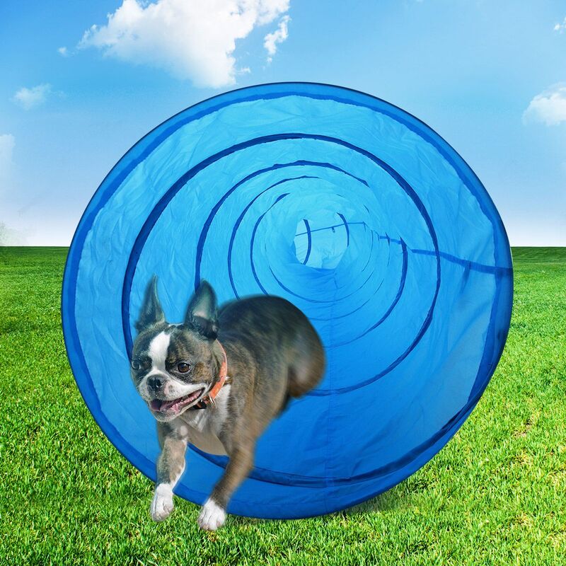 Agility Equipment for Pet Dog 2 Piece