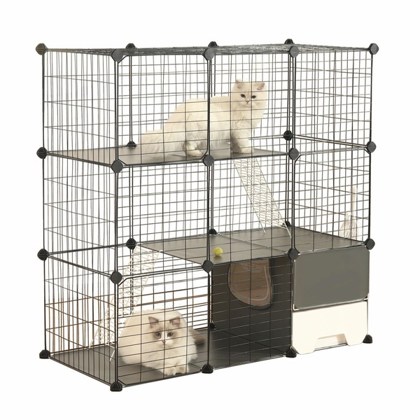 Image 11