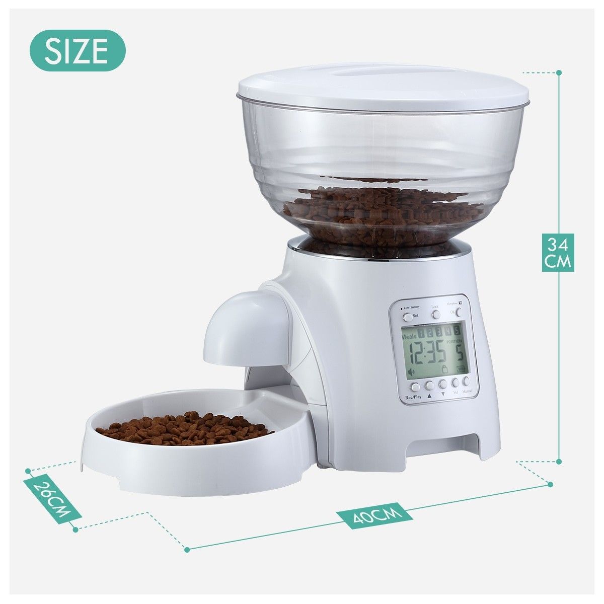 Paws and sale pals automatic feeder