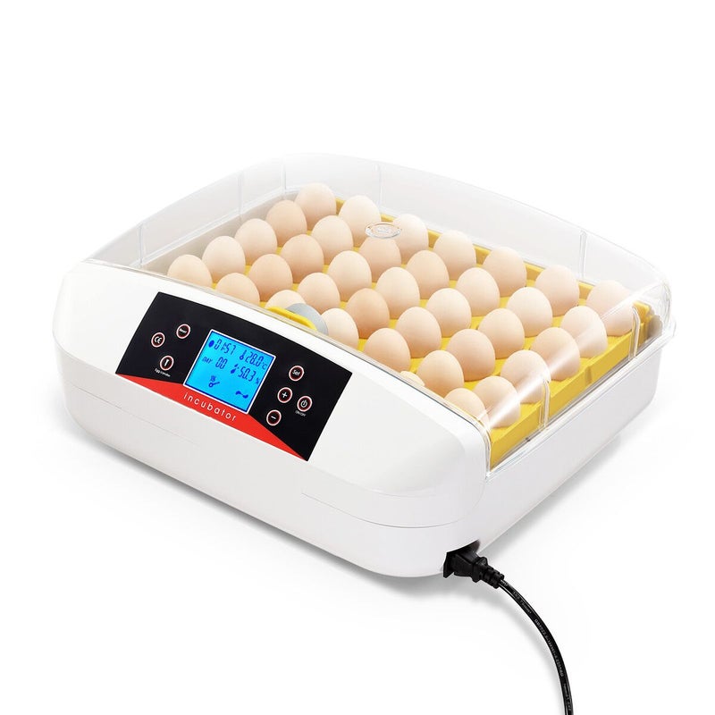 Factory Direct Supply Fish Incubator for Sale Hatching Jars