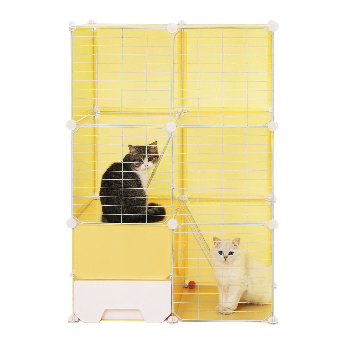 Buy 2024 cat cage