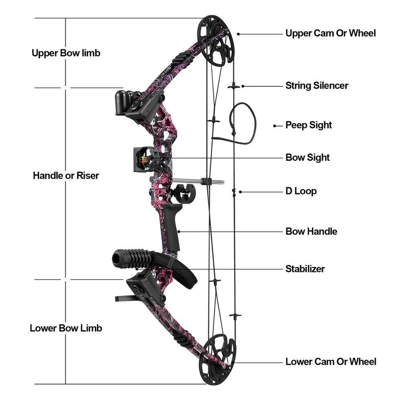 Buy Compound Bow Arrow Kit Sports Hunting Archery Supplies Target Shooting  RH 20-70lbs Adjustable Speed 320fps for Adults Beginner Master - MyDeal