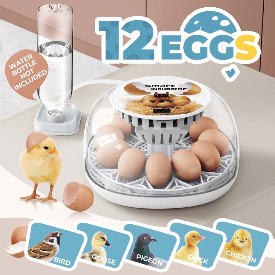 Buy 12 Eggs Incubator Automatic Hatching Chicken Quail Duck Hatcher