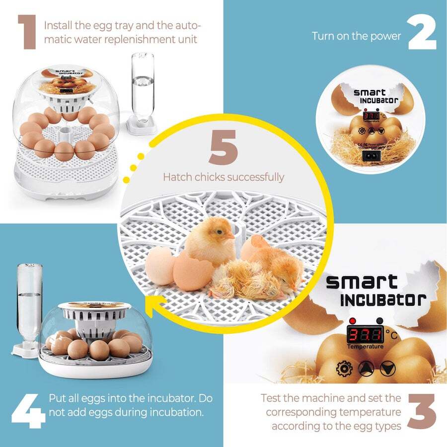 Buy 12 Eggs Incubator Automatic Hatching Chicken Quail Duck Hatcher