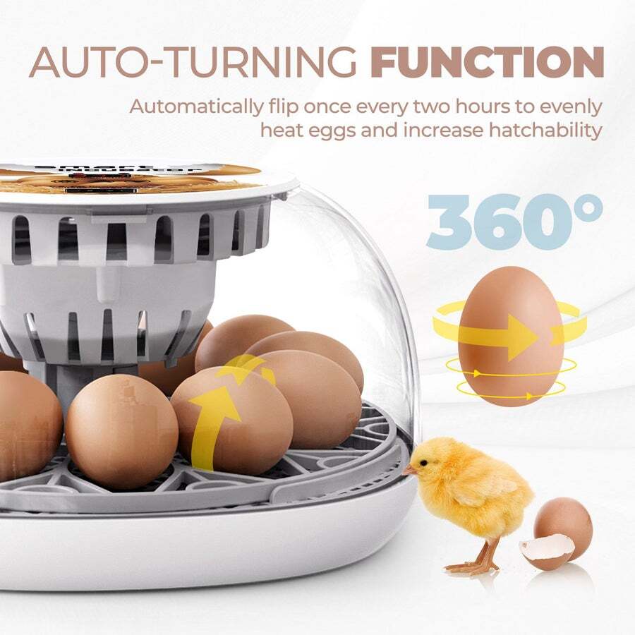 Buy 12 Eggs Incubator Automatic Hatching Chicken Quail Duck Hatcher