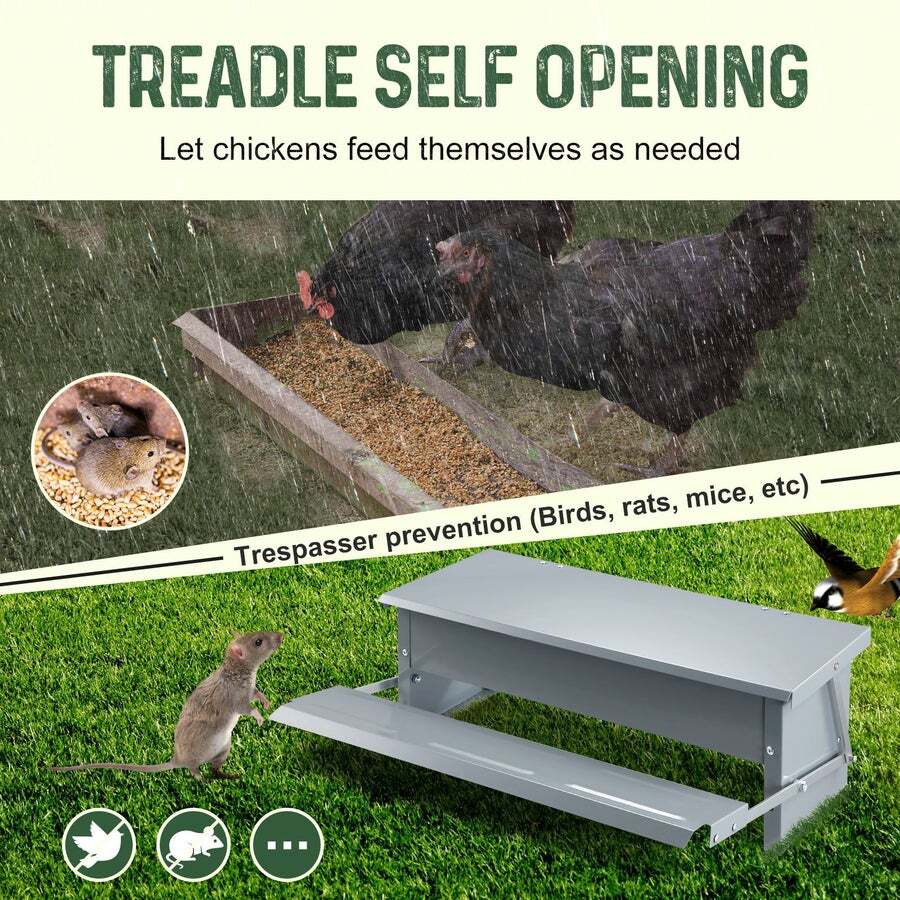 Buy Auto Chicken Feeder Poultry Chook Food Feeding Automatic Treadle ...