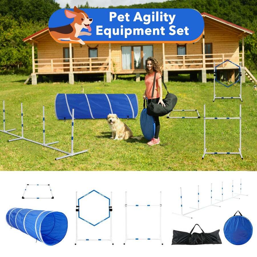 Dog agility hotsell toys & equipment