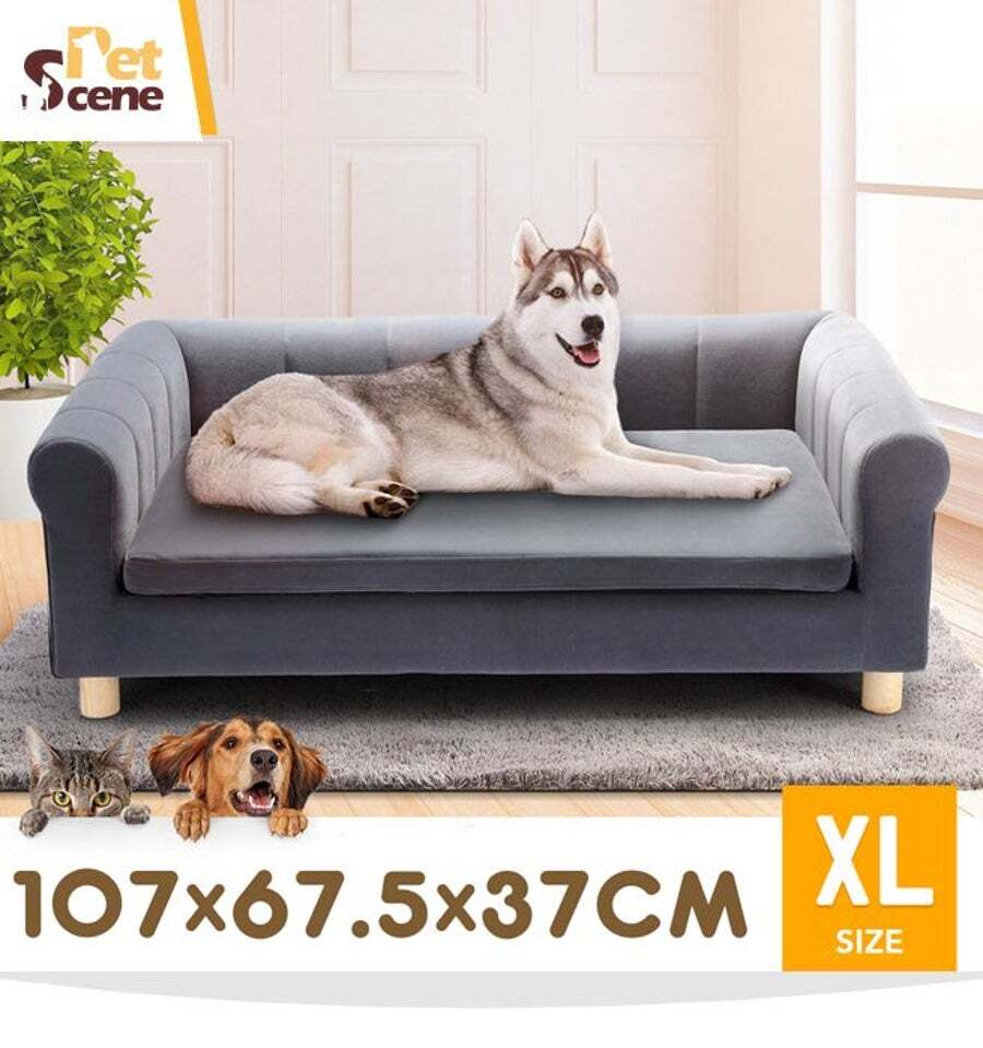 Buy Dog Bed Puppy Sofa Cat Couch Doggy Lounge Soft Cushioned Chaise Pet