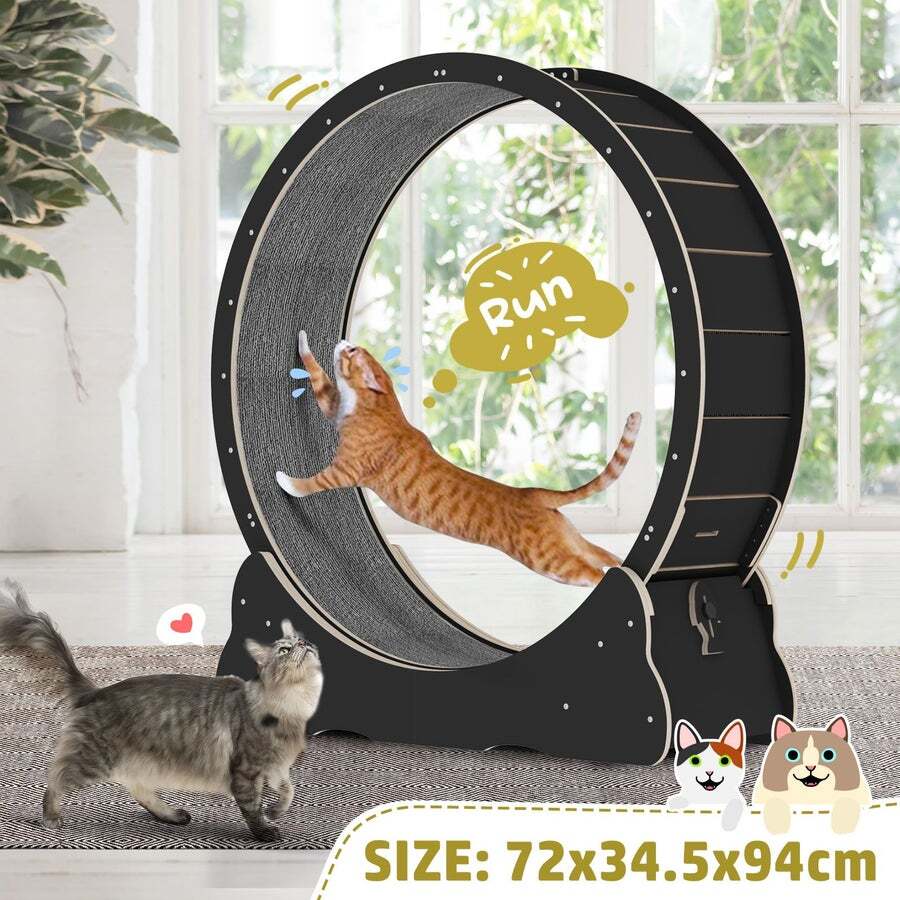 Cat wheel outlet training