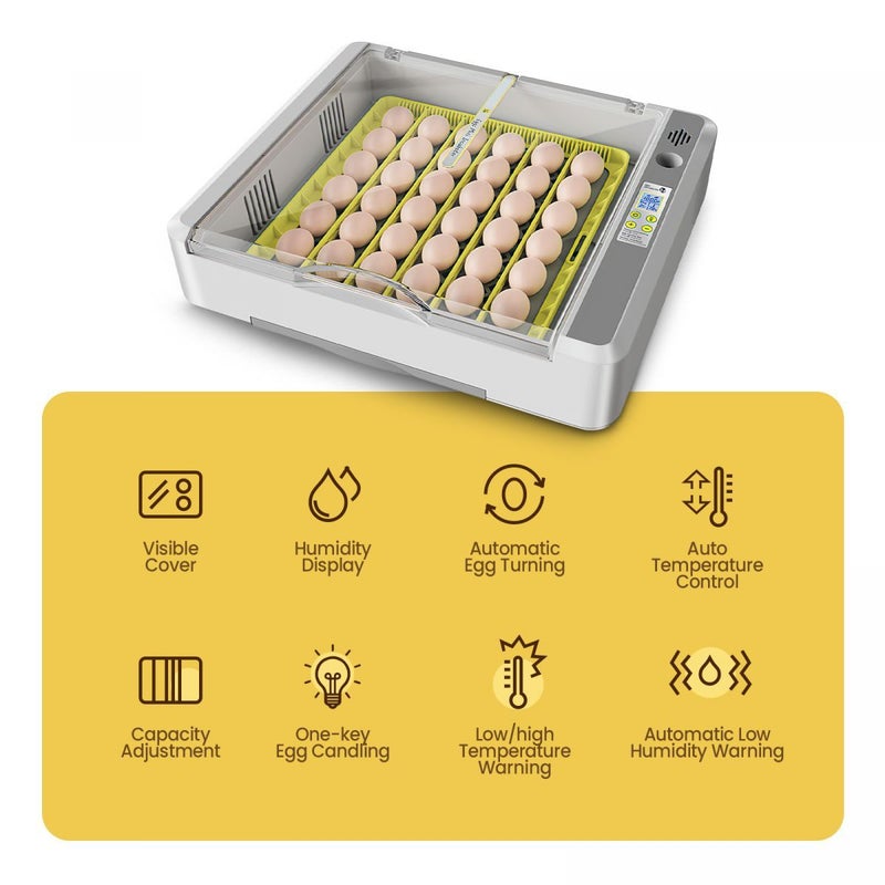 Buy Digital Fully Automatic Egg Incubator 36-120 Eggs Poultry