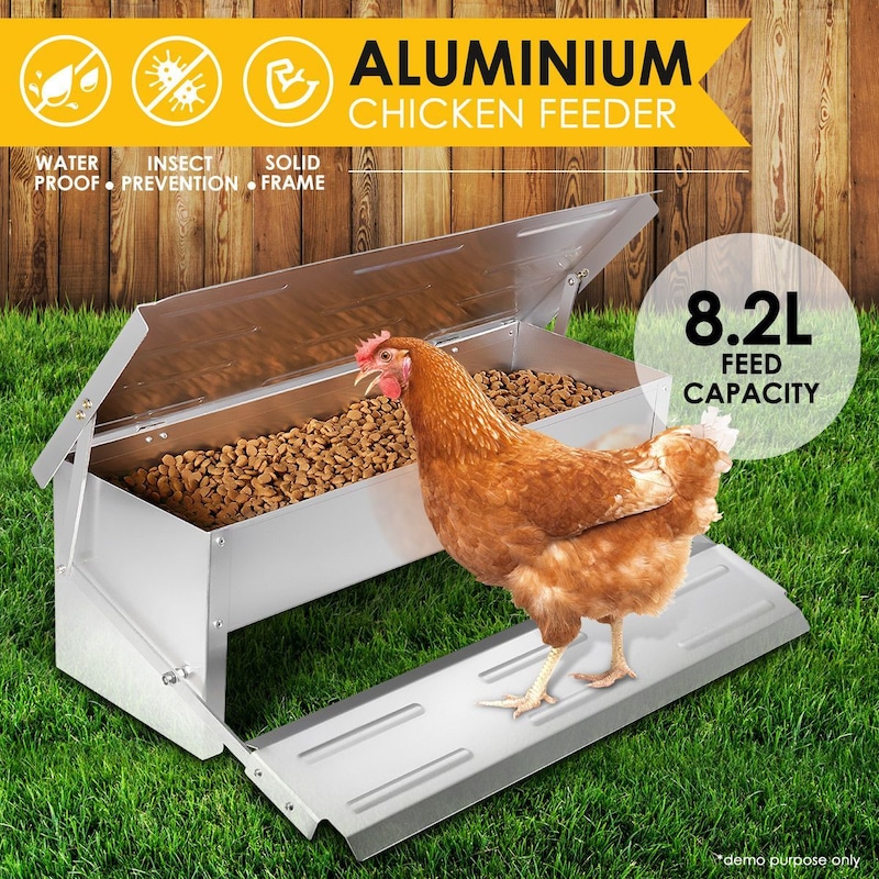 Buy 8.2L Automatic Self opening Chicken Feeder - MyDeal