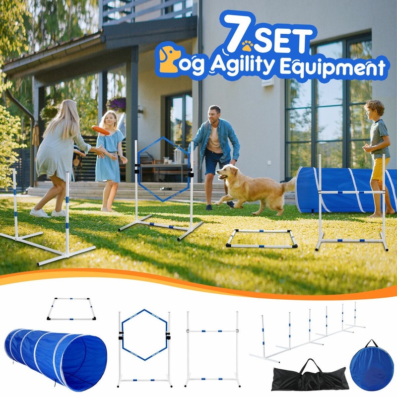 Dog Agility Course Backyard Set, Portable Agility Training
