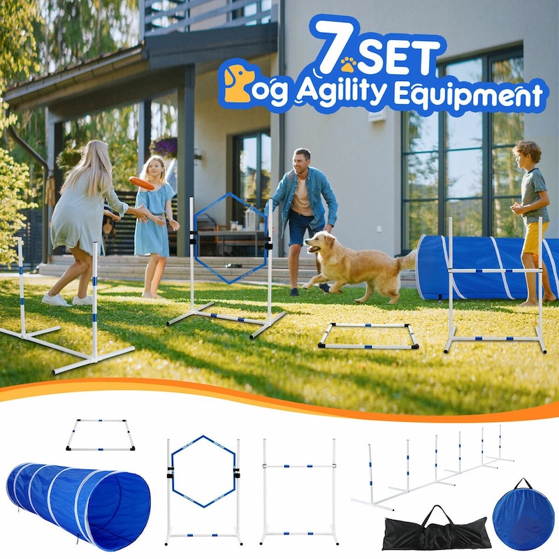 Dog Agility Course Backyard Set, Portable Agility Training