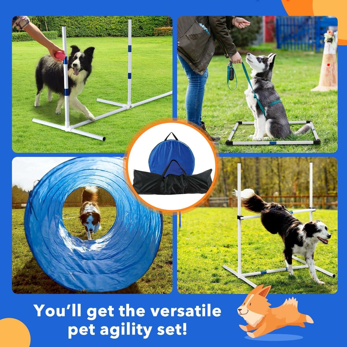 Dog agility shop toys & equipment