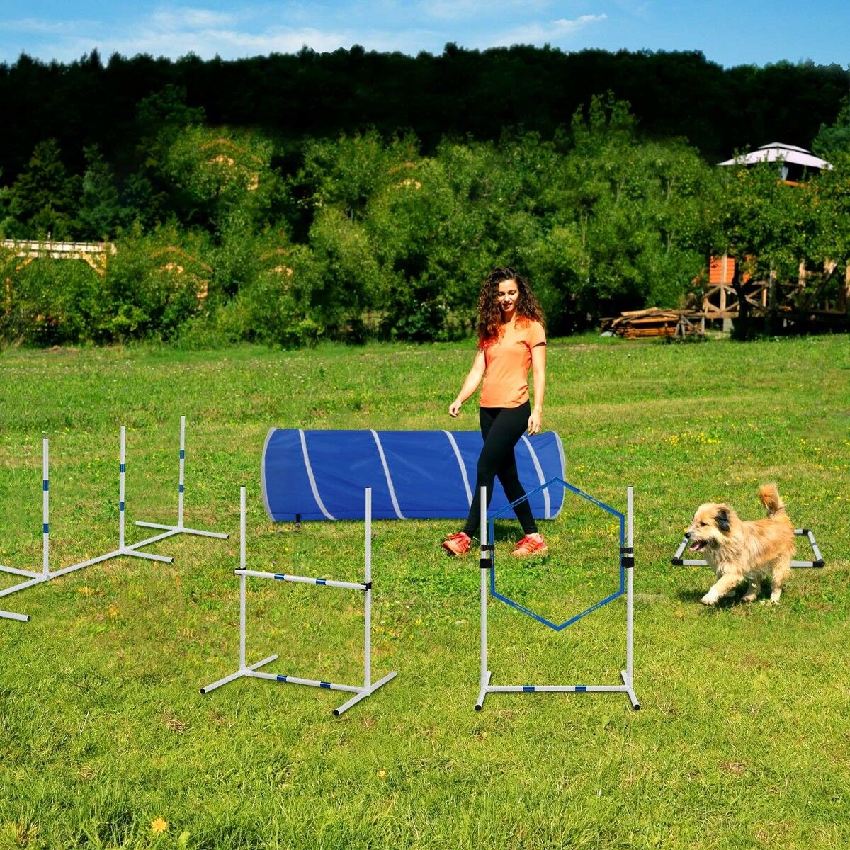 Agility training outlet toys