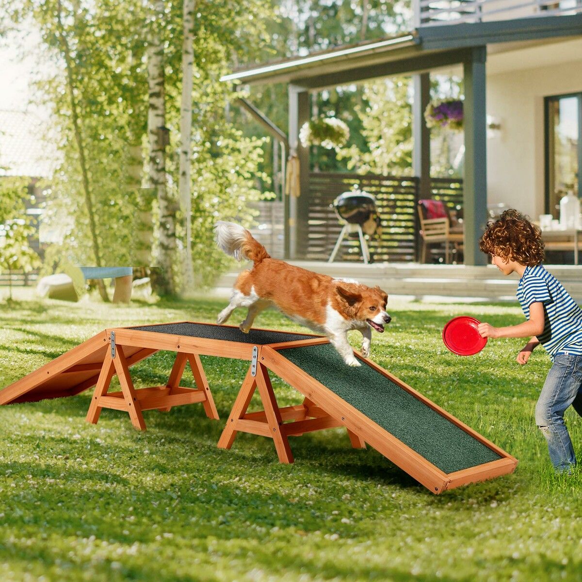 Dog clearance agility leggings