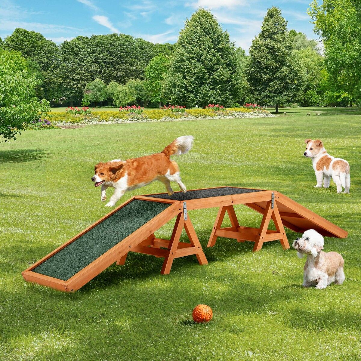 Dog hotsell agility ramp