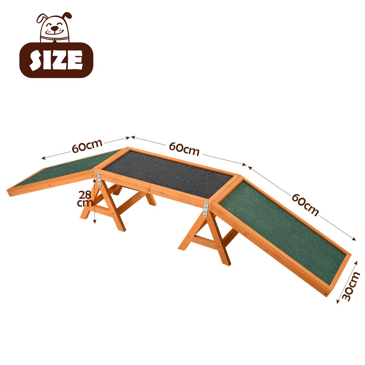 Dog agility best sale training ramp