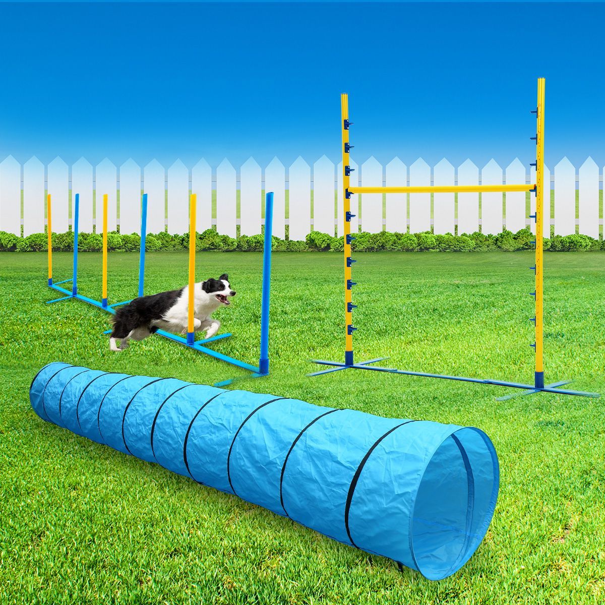Buy Agility Training Set for Dogs with Tunnel - MyDeal