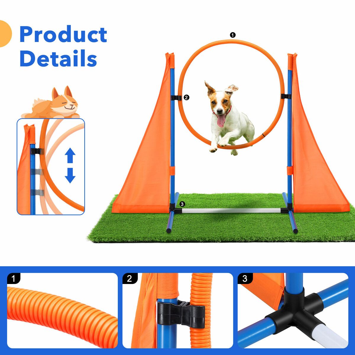 Dog Agility XiaZ Agility Course Equipment Obstacle Training My