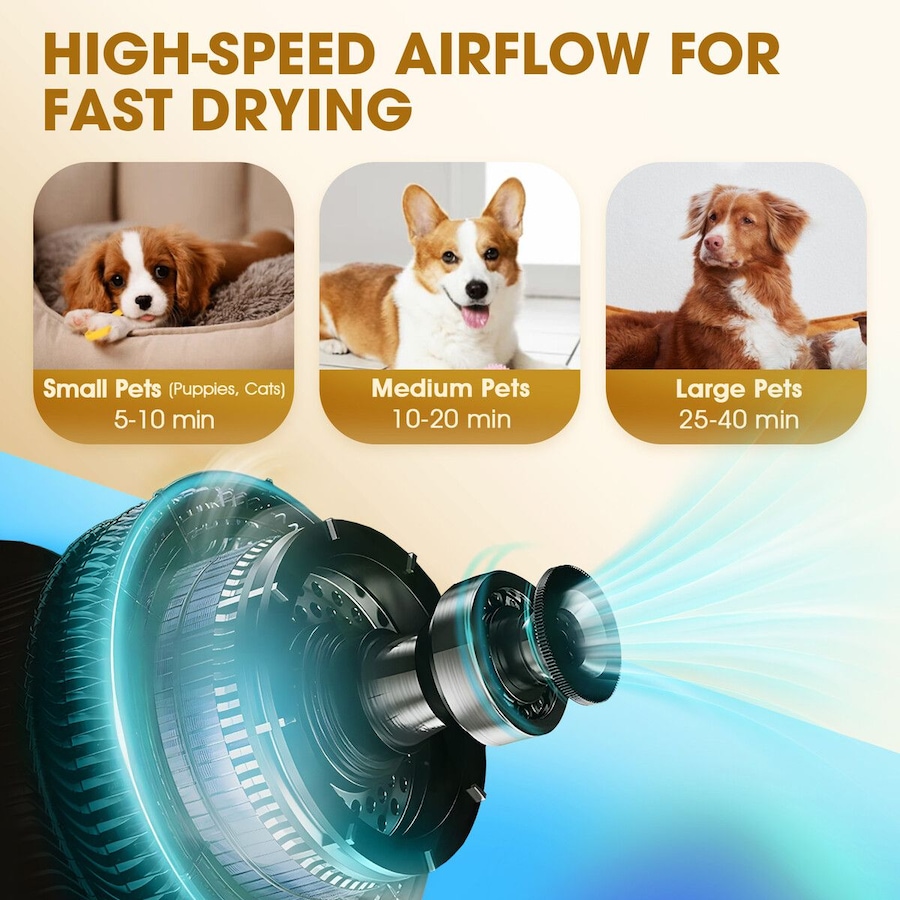 Dog Cat Hair Dryer Pet Grooming Kit Blow Hairdryer Blower Heater Air Blaster 2200W Low Noise Adjustable Speed Temperature Negative Ion Wind 4 Nozzles