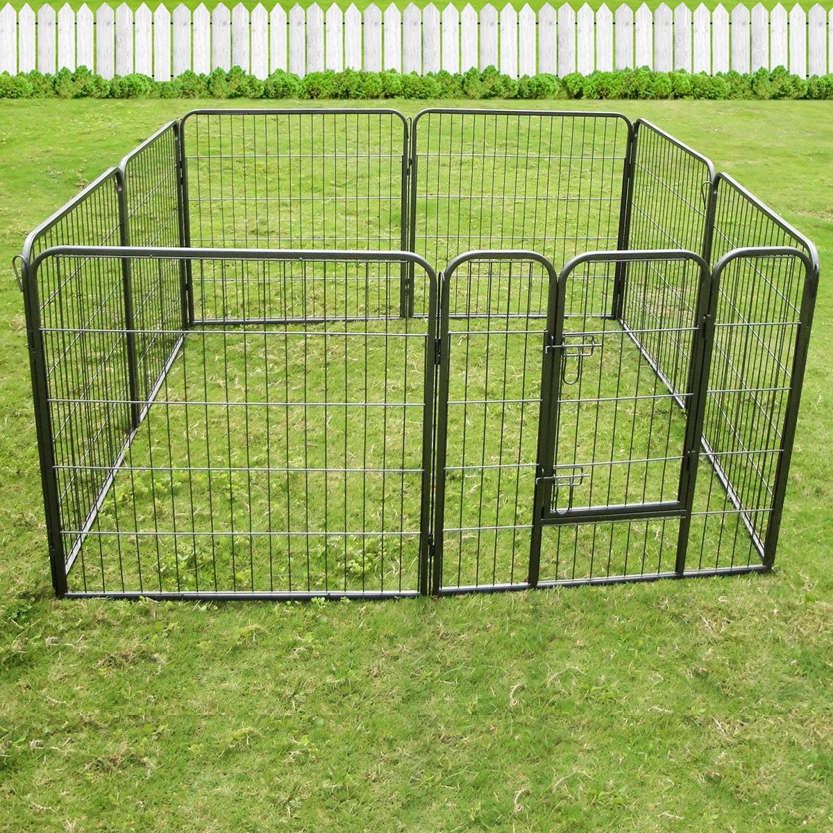 Image 7