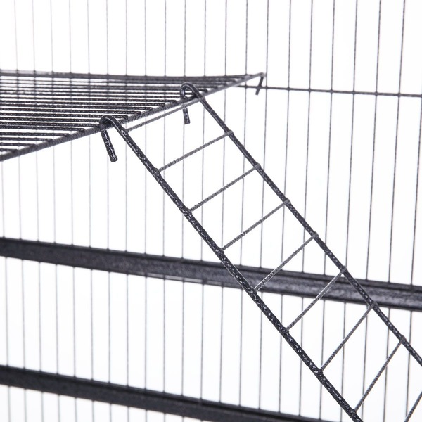 Image 16
