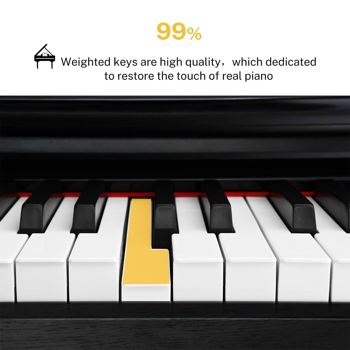 melodic 88 key digital piano