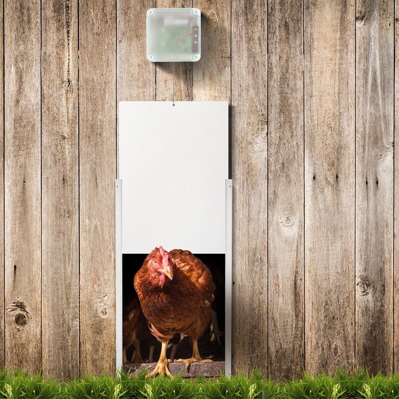 Automatic Chicken Door Coop Chicken Cage With Timer & Light Sensor
