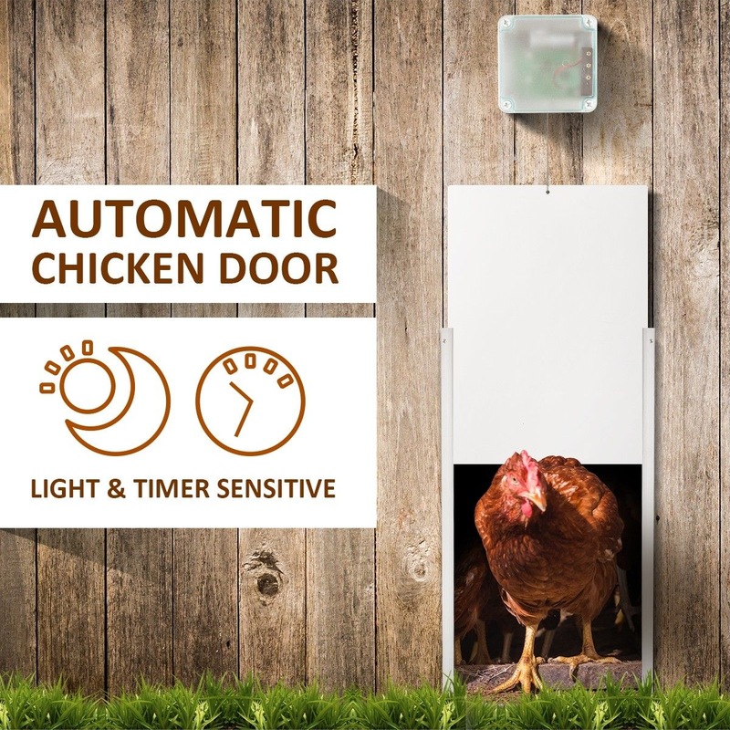 Buy Automatic Chicken Door Coop Chicken Cage With Timer & Light Sensor