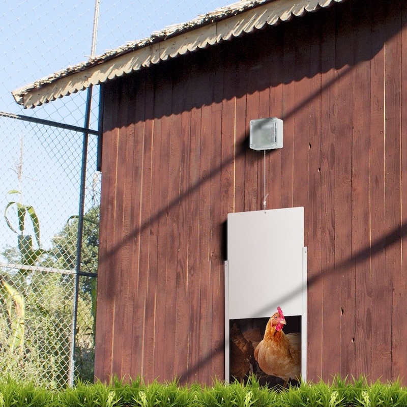 Automatic Chicken Door Coop Chicken Cage With Timer & Light Sensor ... - New Automatic Chicken Coop Door Auto Door Opener Cage Closer Timer Light Sensor 768048 09 Automatic Chicken Door Coop Chicken Cage With Timer & Light Sensor ... - New Automatic Chicken Coop Door Auto Door Opener Cage Closer Timer Light Sensor 768048 09