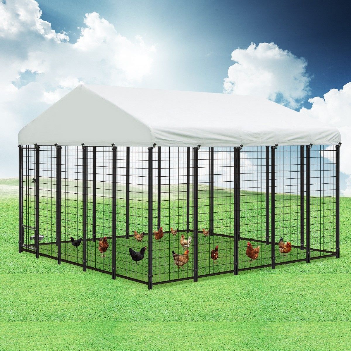 dog pen canopy