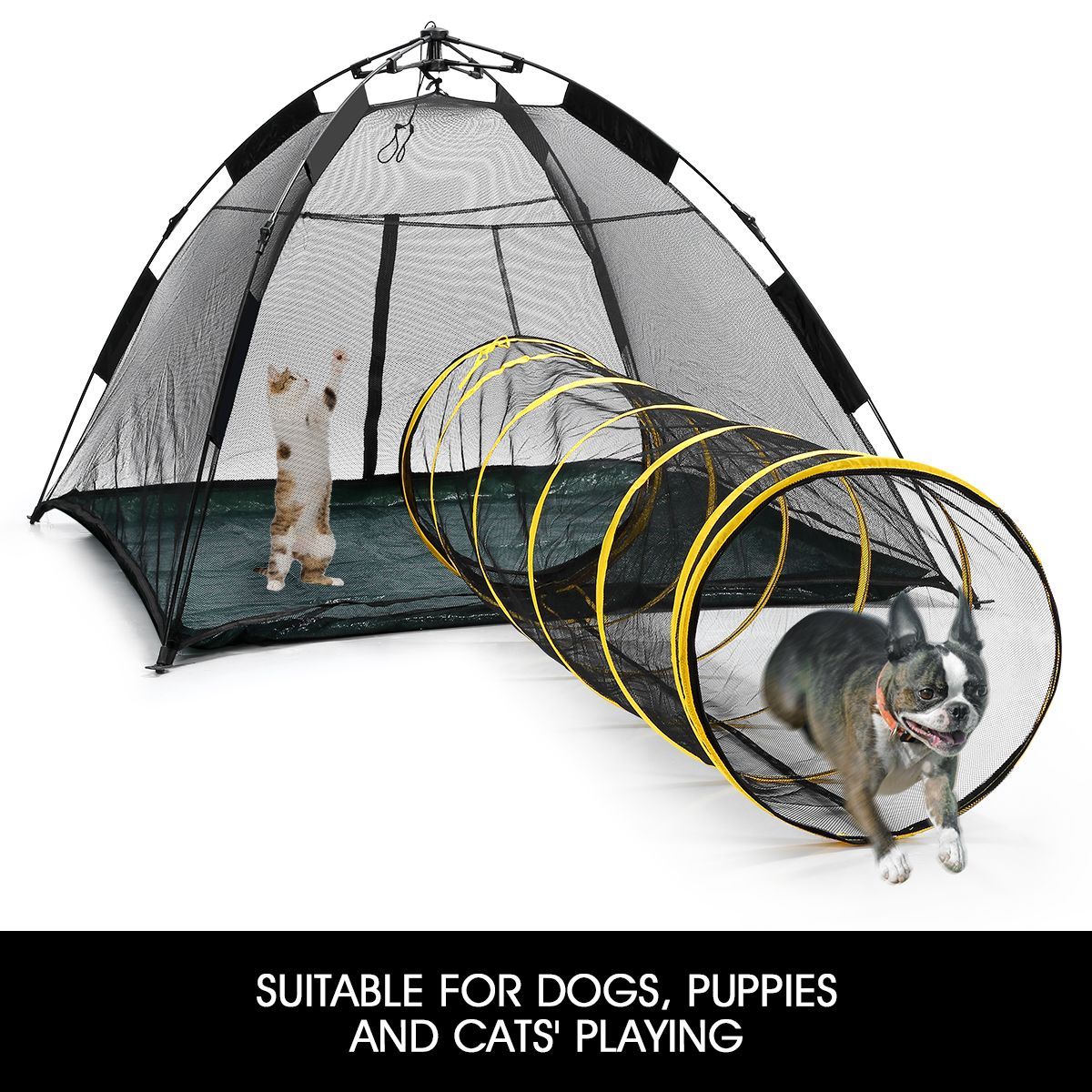 pop up tunnel for dogs