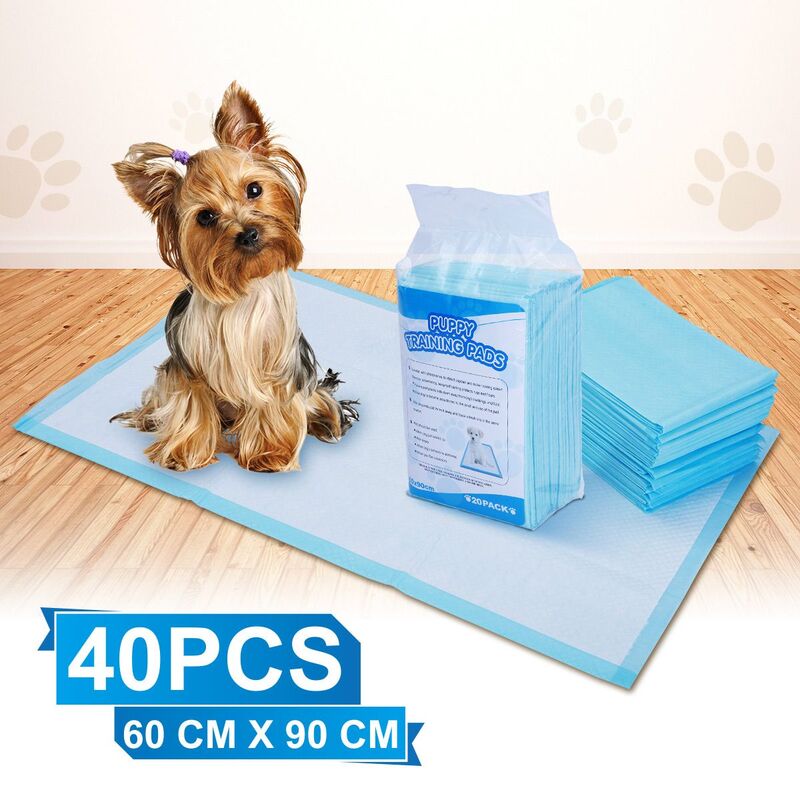 Passive Bothersome Modernize Buy Pet Dog Training Pad 40PCs 60 cm x 90 cm - MyDeal