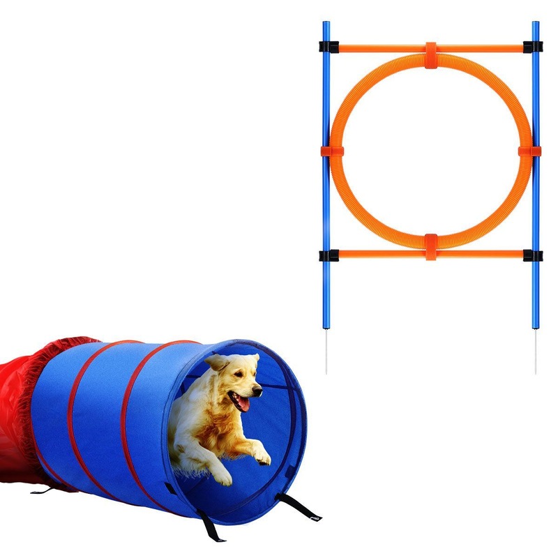 Buy Pawise Dog Agility Tunnel Equipment Set Pet Obstacle Training