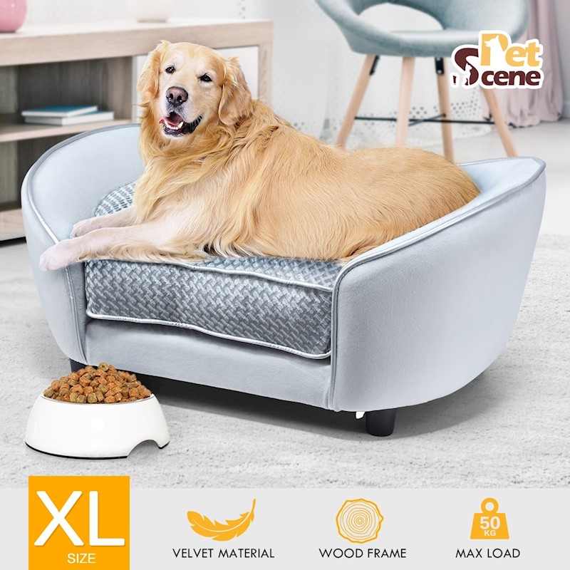 Buy pet best sale bed