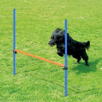 Pet Dog Hurdle Bar Puppy Agility Equipment Interactive Toys Exercise Training Jump Set