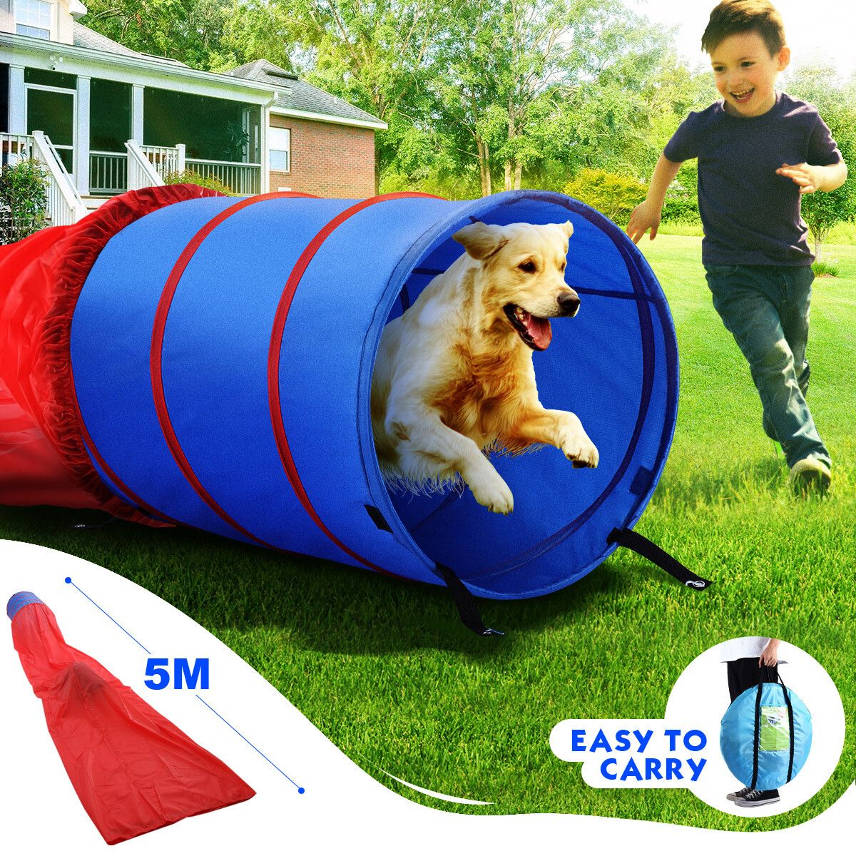 Agility equipment for outlet sale