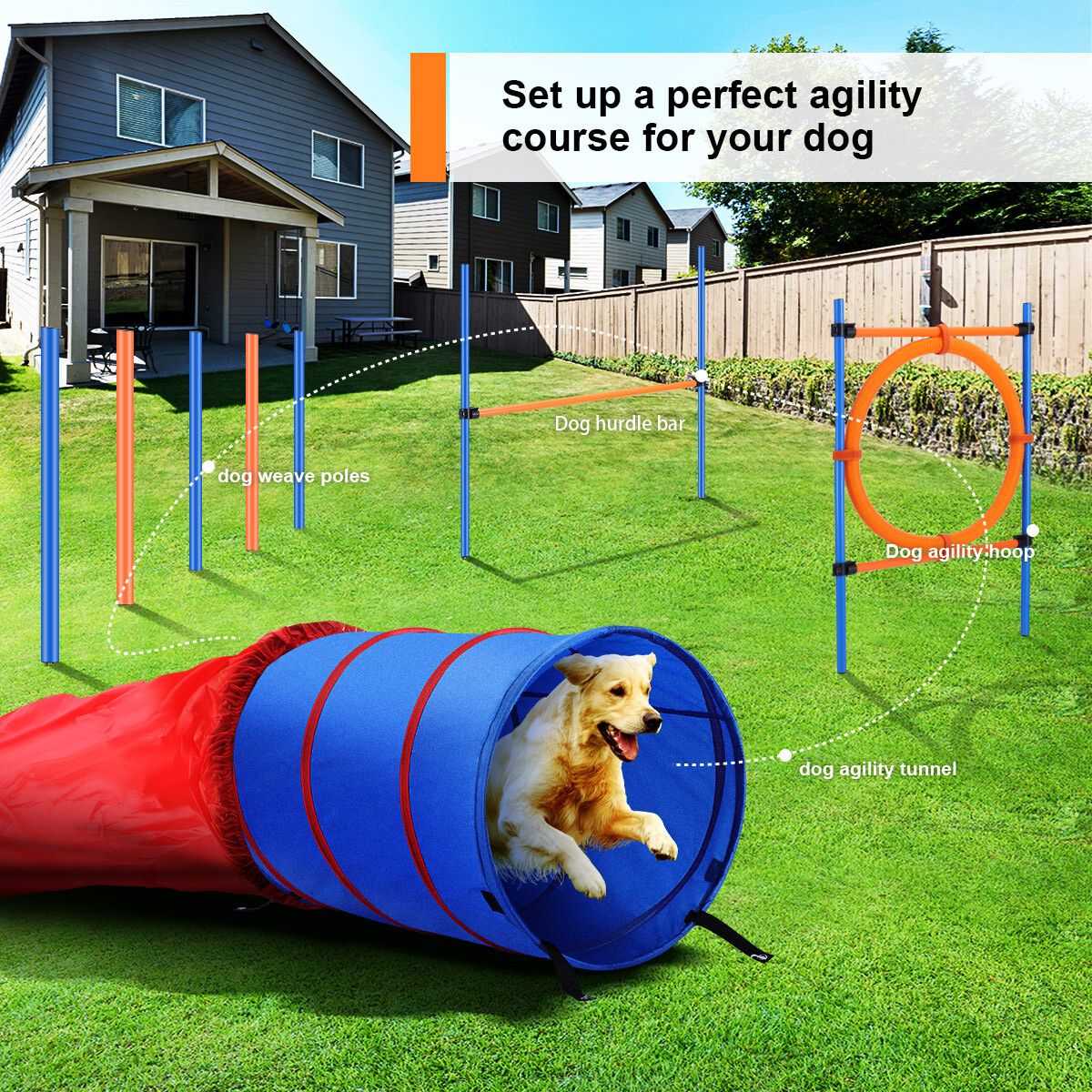 dog tunnel toy