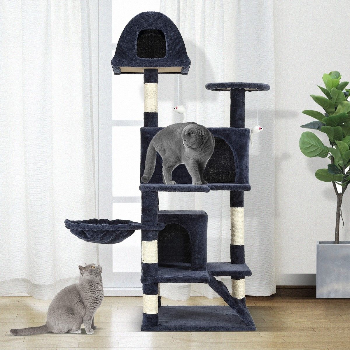 Cat shop play gym